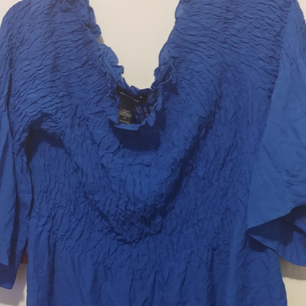Size 22 blouse by Ashley Stewart